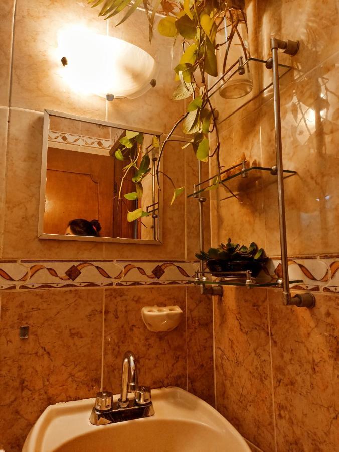 فالادوليد Casa De Los Pajaros - B&B المظهر الخارجي الصورة
