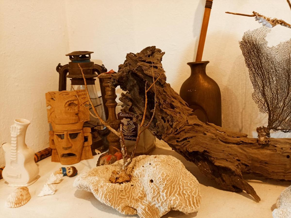 فالادوليد Casa De Los Pajaros - B&B المظهر الخارجي الصورة