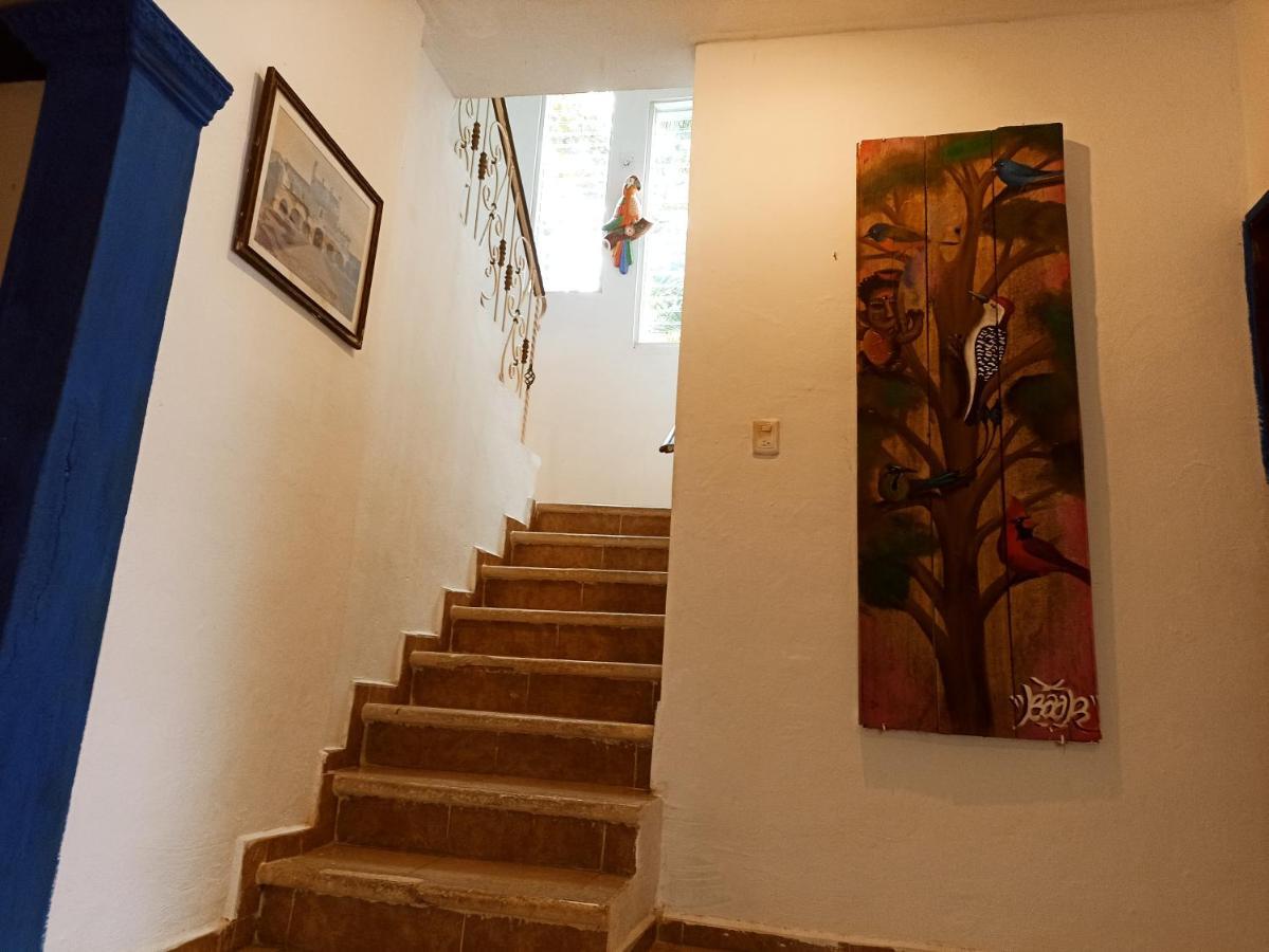 فالادوليد Casa De Los Pajaros - B&B المظهر الخارجي الصورة