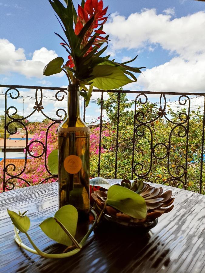 فالادوليد Casa De Los Pajaros - B&B المظهر الخارجي الصورة