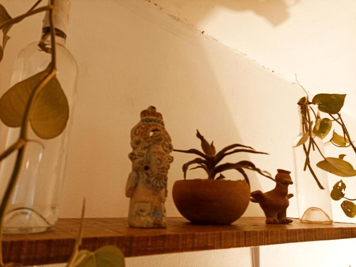 فالادوليد Casa De Los Pajaros - B&B المظهر الخارجي الصورة