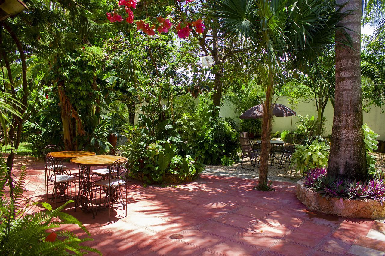 فالادوليد Casa De Los Pajaros - B&B المظهر الخارجي الصورة